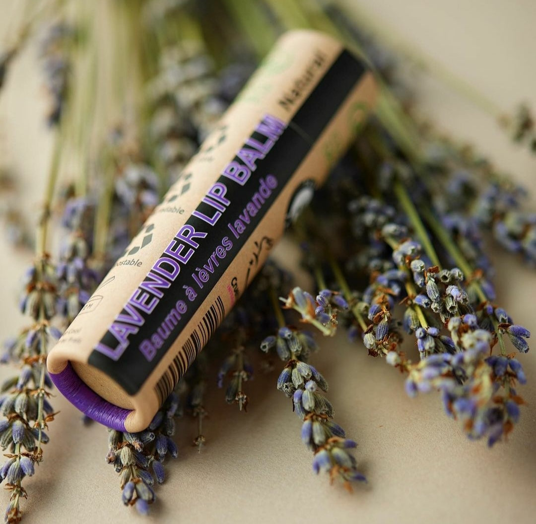 Lip Balm Gift Set - 10 x 15ml Lip Balms - MADE to ORDER